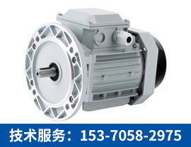 三相異步電機【技術服務：153-7058-2975】